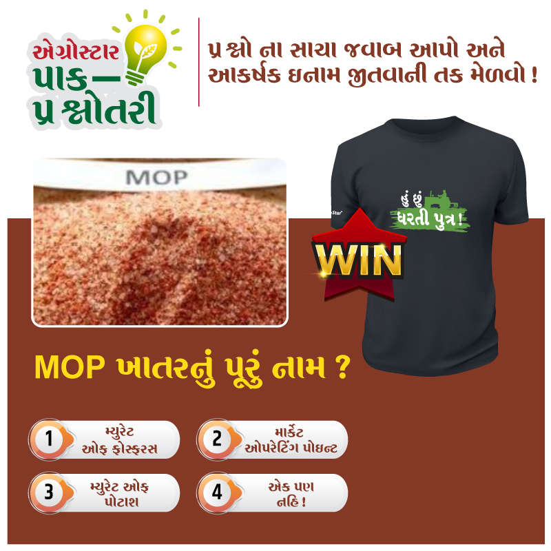  'એગ્રોસ્ટાર ક્રોપ લીગ ' પ્રશ્ન નંબર તેર !