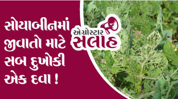 સોયાબીનમાં જીવાતો માટે સબ દુખોકી એક દવા !