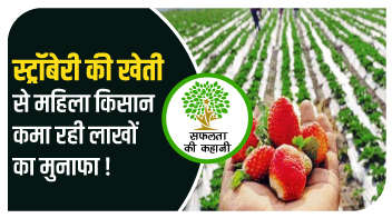 स्ट्रॉबेरी की खेती से महिला किसान कमा रही लाखों का मुनाफा!