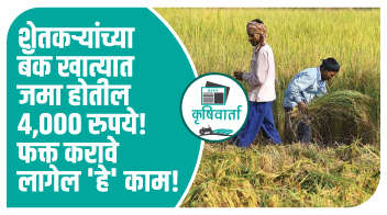  शेतकऱ्यांच्या बँक खात्यात जमा होतील 4,000 रुपये! फक्त करावे लागेल 'हे' काम!
