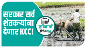 सरकार सर्व शेतकऱ्यांना देणार KCC, अशाप्रकारे करा अर्ज आणि मिळवा फायदा