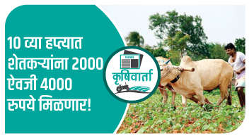 10 व्या हप्त्यात शेतकऱ्यांना 2000 ऐवजी 4000 रुपये मिळणार!