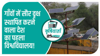 गाँवों में सौर वृक्ष स्थापित करने वाला देश का पहला विश्वविद्यालय!
