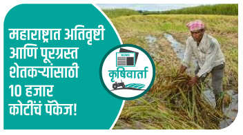 महाराष्ट्रात अतिवृष्टी आणि पूरग्रस्त शेतकऱ्यांसाठी 10 हजार कोटींचं पॅकेज!
