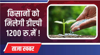 किसानों को  मिलेगी डीएपी 1200 रु.में !