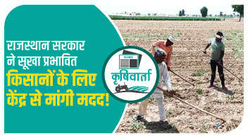 राजस्थान सरकार ने सूखा प्रभावित किसानों के लिए केंद्र से मांगी मदद!