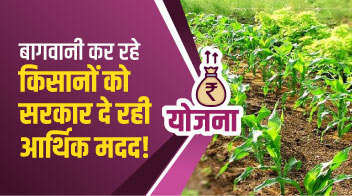 बागवानी कर रहे किसानों को सरकार दे रही आर्थिक मदद!