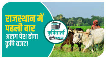 राजस्थान में पहली बार अलग पेश होगा कृषि बजट!