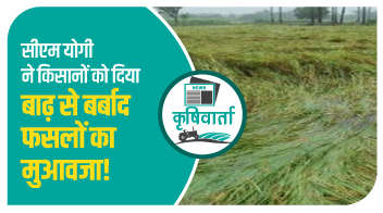 सीएम योगी ने किसानों को दिया बाढ़ से बर्बाद फसलों का मुआवजा!
