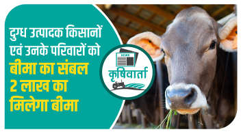 दुग्ध उत्पादक किसानों एवं उनके परिवारों को बीमा का संबल 2 लाख का मिलेगा बीमा!