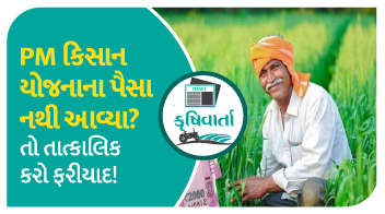 PM કિસાન યોજનાના પૈસા નથી આવ્યા? તો તાત્કાલિક કરો ફરીયાદ !