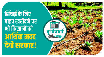 सिंचाई के लिए पाइप खरीदने पर भी किसानों को आर्थिक मदद देगी सरकार!