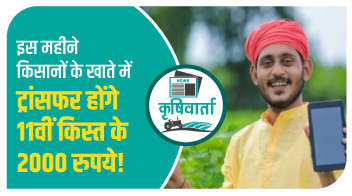 इस महीने किसानों के खाते में ट्रांसफर होंगे 11वीं किस्‍त के 2000 रुपये!