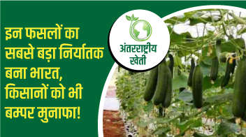 इन फसलों का सबसे बड़ा निर्यातक बना भारत, किसानों को भी बम्पर मुनाफा!