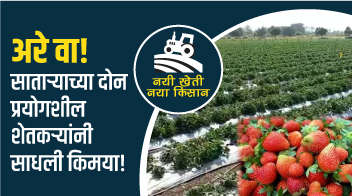 अरे वा! साताऱ्याच्या दोन प्रयोगशील शेतकऱ्यांनी साधली किमया!