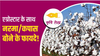 एग्रोस्टार के साथ नरमा/कपास बोने के फायदे!