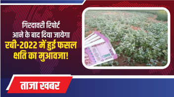 गिरदावरी रिपोर्ट आने के बाद दिया जायेगा रबी-2022 में हुई फसल क्षति का मुआवजा!
