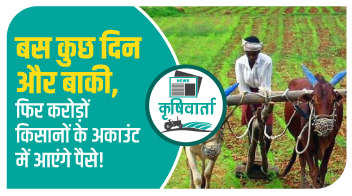 बस कुछ दिन और बाकी, फिर करोड़ों किसानों के अकाउंट में आएंगे पैसे!