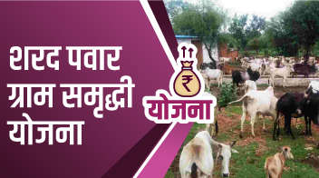 शरद पवार ग्राम समृद्धी योजना!
