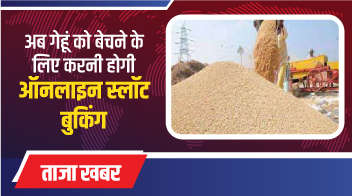 अब गेहूं को बेचने के लिए करनी होगी ऑनलाइन स्लॉट बुकिंग!
