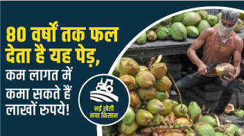 80 वर्षों तक फल देता है यह पेड़, कम लागत में कमा सकते हैं लाखों रुपये!