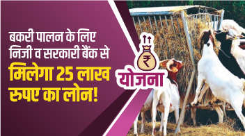 बकरी पालन के लिए निजी व सरकारी बैंक से मिलेगा 25 लाख रुपए का लोन!