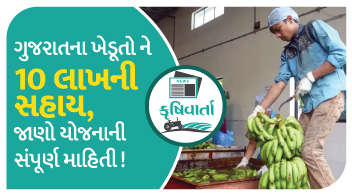 ગુજરાતના ખેડૂતો ને 10 લાખની સહાય, જાણો યોજનાની સંપૂર્ણ માહિતી !