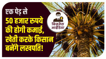 एक पेड़ से 50 हजार रुपये की होगी कमाई, खेती करके किसान बनेंगे लखपति!