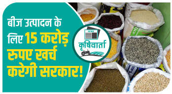 बीज उत्पादन के लिए 15 करोड़ रुपए खर्च करेगी सरकार!