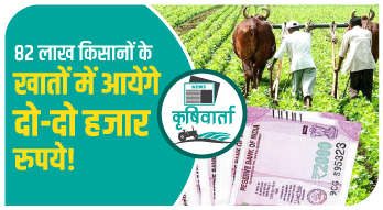 82 लाख किसानों के खातों में आयेंगे दो-दो हजार रुपये!