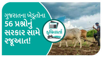 ગુજરાતના ખેડૂતોના 56 પ્રશ્નોનું સરકાર સામે રજૂઆત !!