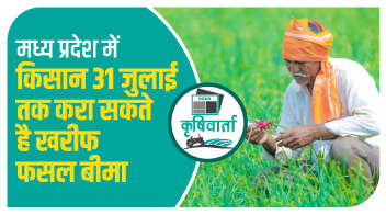 मध्य प्रदेश में किसान 31 जुलाई तक करा सकते है खरीफ फसल बीमा!