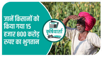 जानें किसानों को क्यों किया गया 15 हजार 800 करोड़ रुपए का भुगतान?