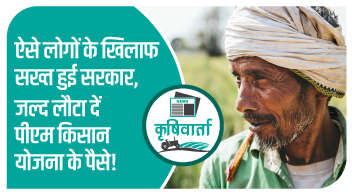 ऐसे लोगों के खिलाफ सख्त हुई सरकार, जल्द लौटा दें पीएम किसान योजना के पैसे!