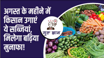 अगस्त के महीने में किसान उगाएं ये सब्जियां, मिलेगा बढ़िया मुनाफा!