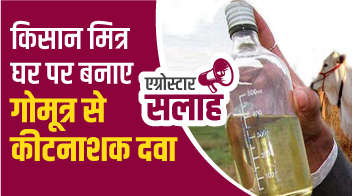 किसान मित्रों घर पर बनाए गोमूत्र से कीटनाशक दवा!