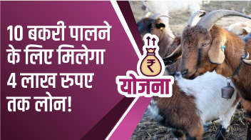 10 बकरी पालने के लिए मिलेगा 4 लाख रुपए तक लोन!
