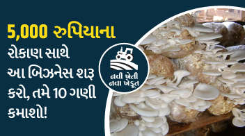 5,000 રૂપિયાના રોકાણ સાથે આ બિઝનેસ શરૂ કરો, તમે 10 ગણી કમાશો!