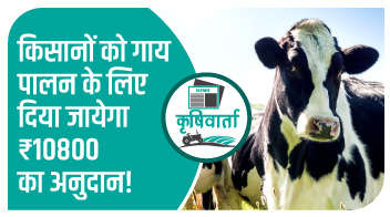 किसानों को गाय पालन के लिए दिया जायेगा 10800 रु का अनुदान!