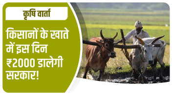 किसानों के खाते में इस दिन 2000 रुपए डालेगी सरकार!