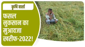 फसल नुकसान का मुआवजा खरीफ-2022!
