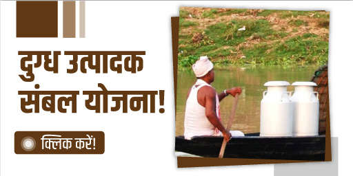 सहकारी समितियों को दूध बेचने पर 5 रुपये लीटर प्रोत्साहन राशि देगी सरकार!
