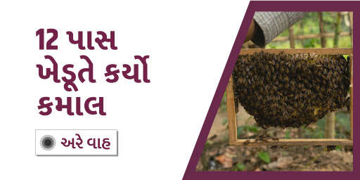 ખેડૂતેને મધમાખીએ કર્યા માલામાલ, વર્ષે મેળવે છે લાખોની આવક