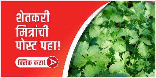 शेतकरी मित्रांची पोस्ट पहा!