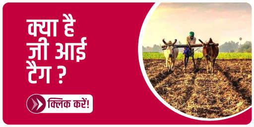 क्या है जी आई टैग?