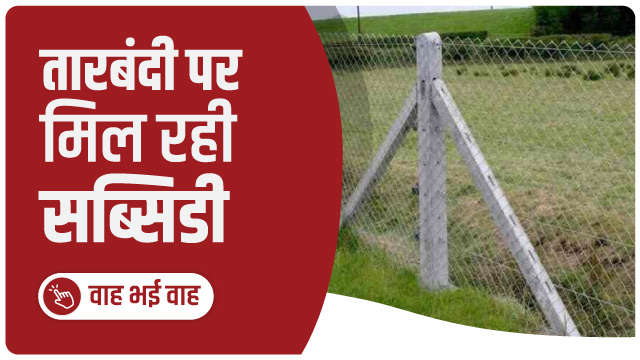 तारबंदी पर मिल रही सब्सिडी ऑनलाइन करें आवेदन?