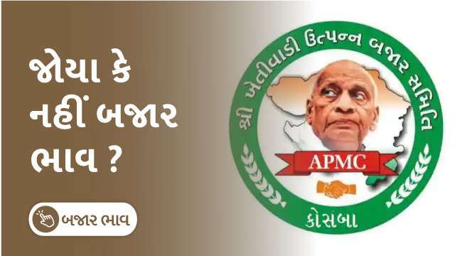 ગુજરાતની વિવિધ APMC ના બજારભાવ 