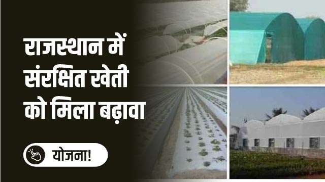 राजस्थान में संरक्षित खेती को मिला बढ़ावा
