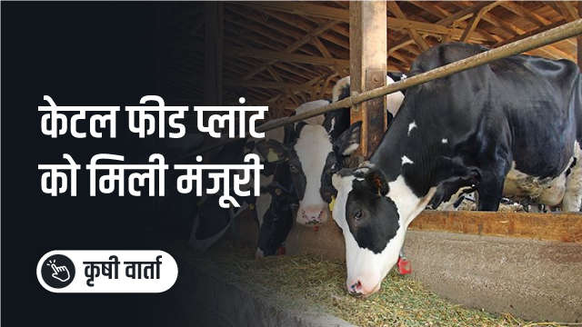 अब राजस्थान मे पशु आहार उत्पादन होगा दुगना