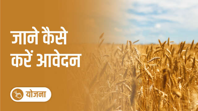 MSP पर सुरू हो गई गेहूँ की खरीद  